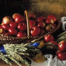 corn, basket, apples