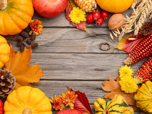 pumpkin, Leaf, boarding, Flowers, nuts, composition, autumn, corn