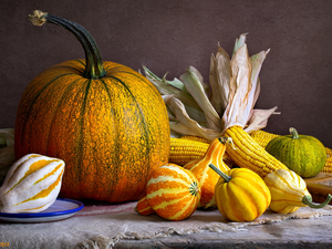 corn, composition, pumpkin