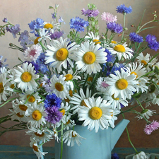 daisy, cornflowers, Flowers, Wildflowers, bouquet