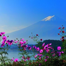 Cosmos, mountains, Flowers