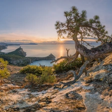 rocks, Black Sea, pine, Sunrise, Coast, trees, Crimea