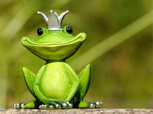 Crown, decoration, frog