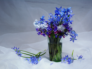 Flowers, bouquet, Lungwort, cup, squill, Blue