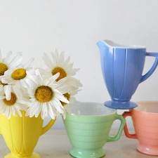 White, color, cups, daisy