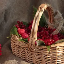 currants, basket, raspberries