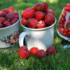 currants, raspberries, Strawberries