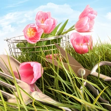 grass, basket, cutlery, Tulips