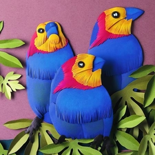 Three, Leaf, Cutouts, Parrots