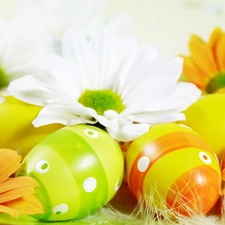 daisy, easter, eggs