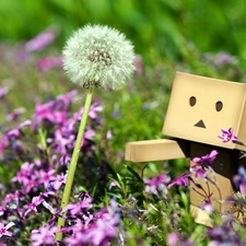 Flowers, Meadow, Danbo, Pink, summer, dandelion, blur