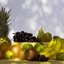 decoration, Fruits, arranged