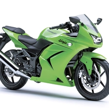 driver, Kawasaki Ninja 250R, deflectors