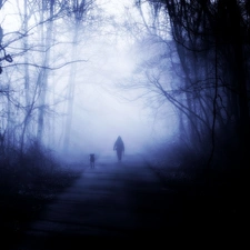 dog, dark, Night, wander, forest