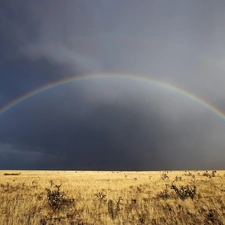 wilderness, Great Rainbows, Dried