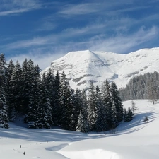 drifts, forest, height, snow, Mountains