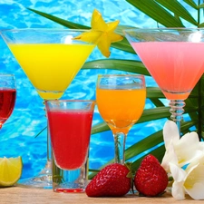 exotic, drinks