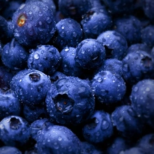 drops, water, bilberry, American, blueberries
