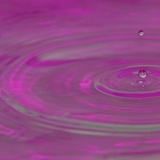 drops, Violet, water