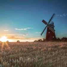 dry, grass, rays, sun, Windmill