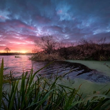 Dubna River, Sky, sun, clouds, Latgale, Latvia, rushes, Sunrise, grass