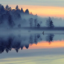 east, sun, woods, water, Fog