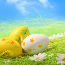 grass, eggs, easter, daisy