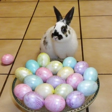 Rabbit, eggs, easter, basket