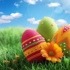 Sky, eggs, easter, grass