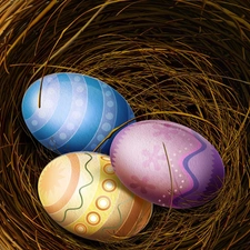 eggs, nest, color