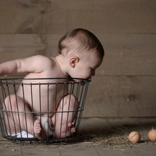 little doggies, basket, eggs, Kid