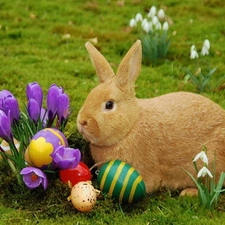 Rabbit, easter, eggs, crocuses