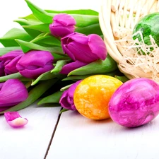 eggs, Easter, Tulips