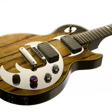 Gibson Les Paul, Guitar, Electric