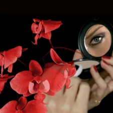 orchids, powder-box, eye, hands