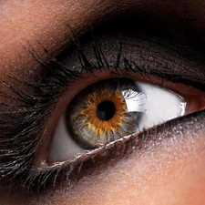 make-up, Women, eye