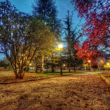 illuminated, autumn, fallen, Leaf, Alleys, Park