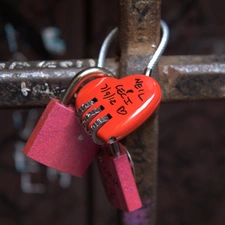 Padlocks, Fance