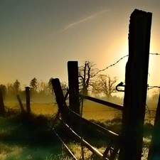 Fog, viewes, rays, Meadow, trees, Fance, sun