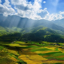 Mountains, Farms