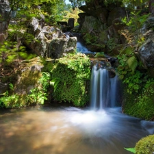 forest, boulders, fern, waterfall