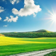 Field, Way, Sky, sun, Meadow