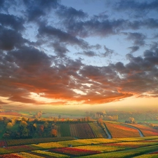 west, clouds, field, sun