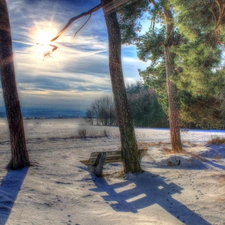 sun, flash, winter, luminosity, viewes, ligh, Przebijające, trees