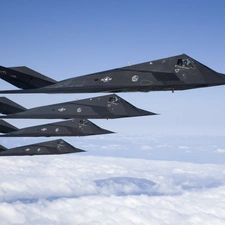 F 117 Nighthawk, fleet