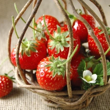 flower, strawberries, basket