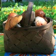 Flowers, mushrooms, basket