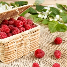 Flowers, raspberries, basket