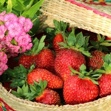 Flowers, strawberries, basket
