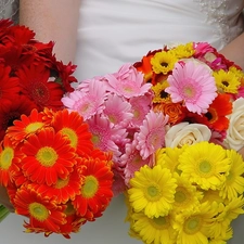 flowers, color, Bouquets